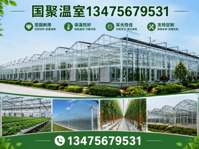 潍坊滨海经济技术开发区国聚温室展示图