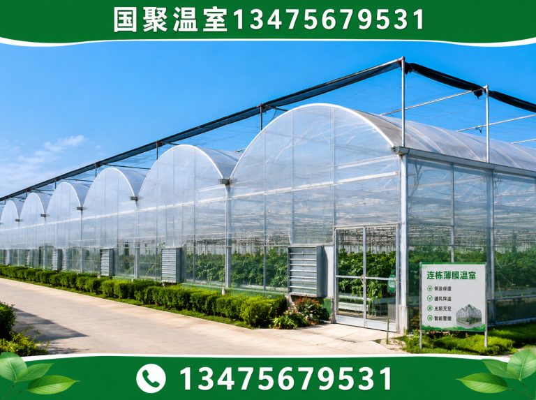 潍坊滨海经济技术开发区连栋薄膜温室展示图