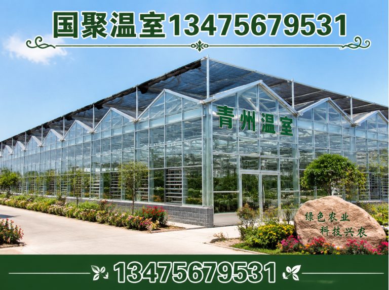 潍坊滨海经济技术开发区温室设计施工展示图